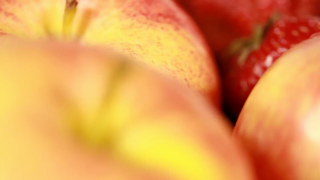fruits